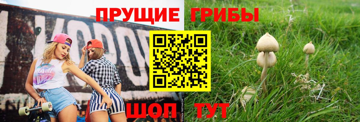 Ессентуки  Галлюциногенные грибы прущие грибы  Вход с VPN 
