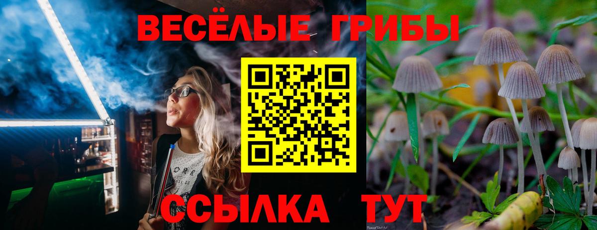 Галлюциногенные грибы Cubensis Ессентуки
