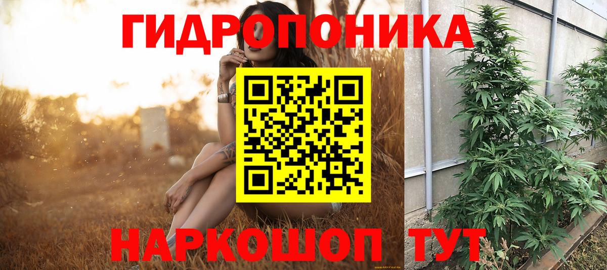 Марихуана конопля  Марихуана VHQ  Ессентуки  Марихуана White Widow  Вход с VPN 